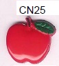 CN25 Stock Pic.jpg